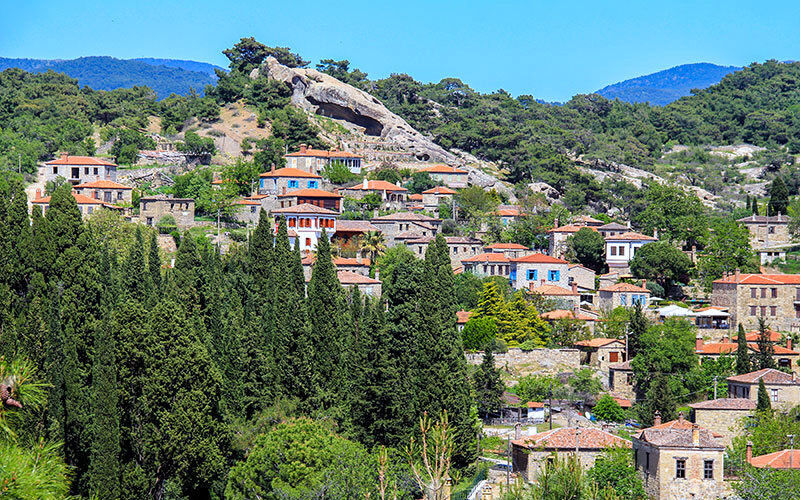 Tahtakuşlar1