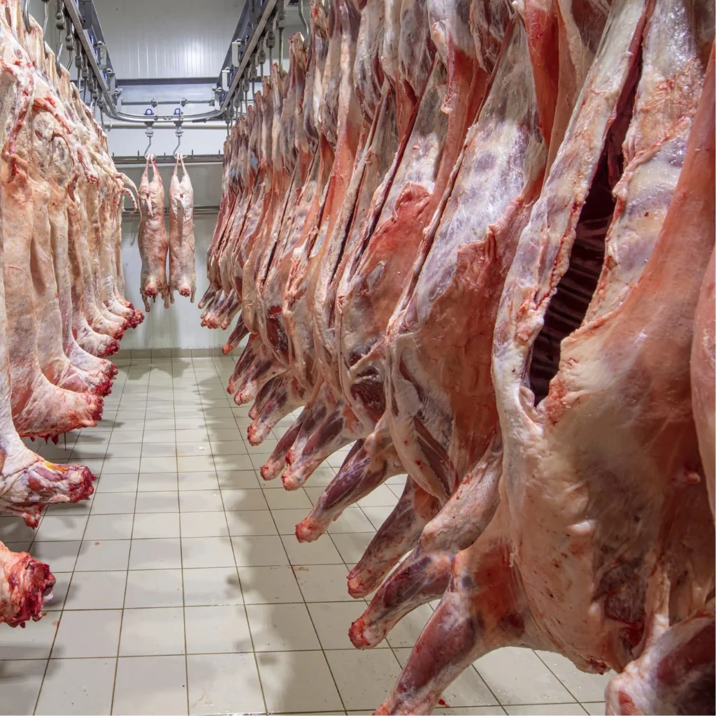 Whole Lamb 20 21Kg 2 2C202C6A 0Ea0 4474 B52D 4D4A8428400B