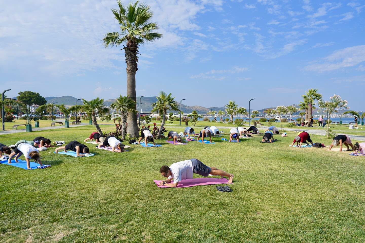 Sahilde Yoga1