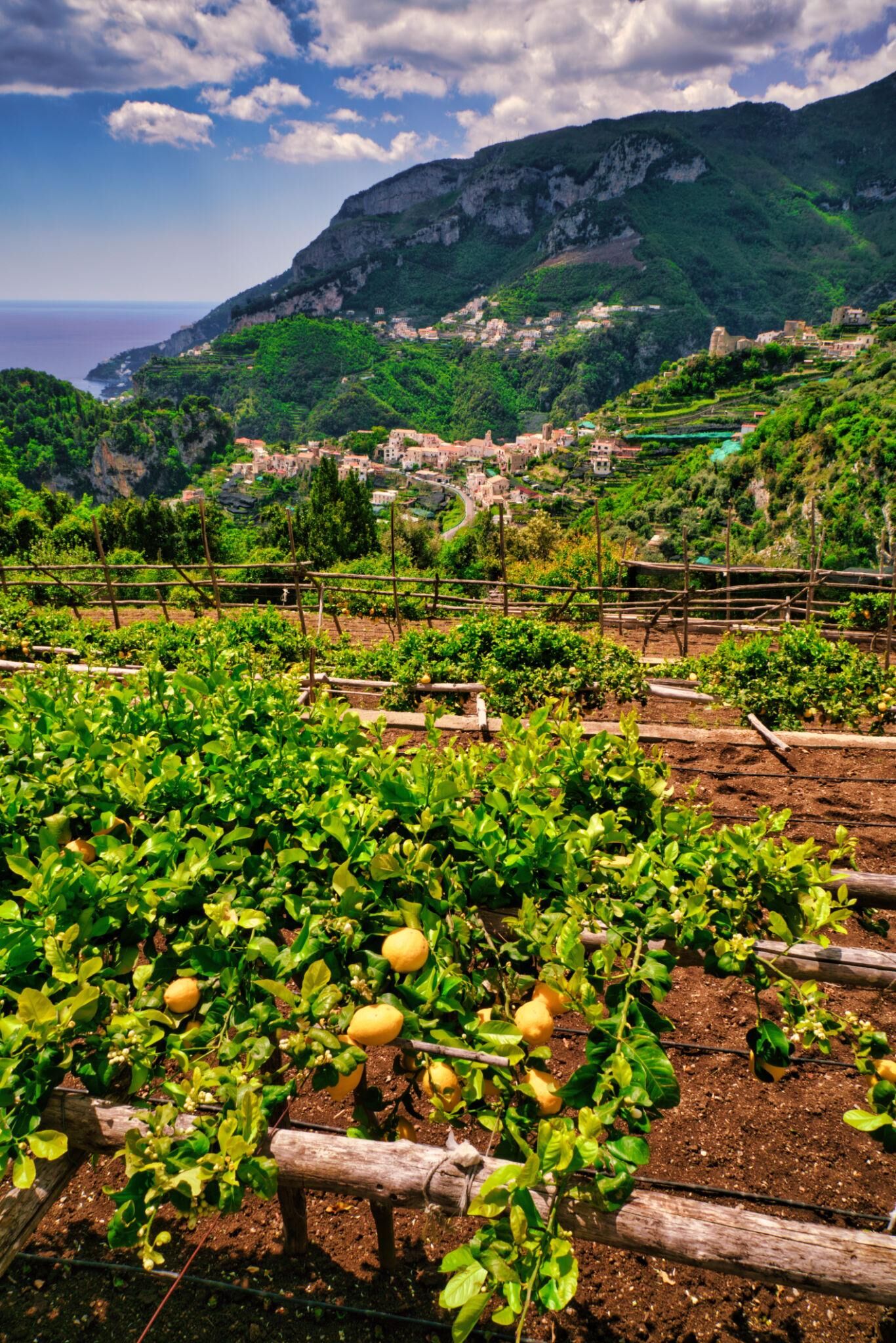 Amalfi16