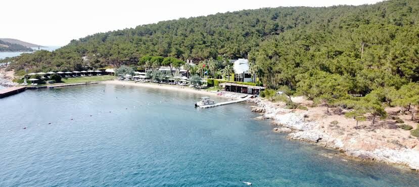 Ortunç-1