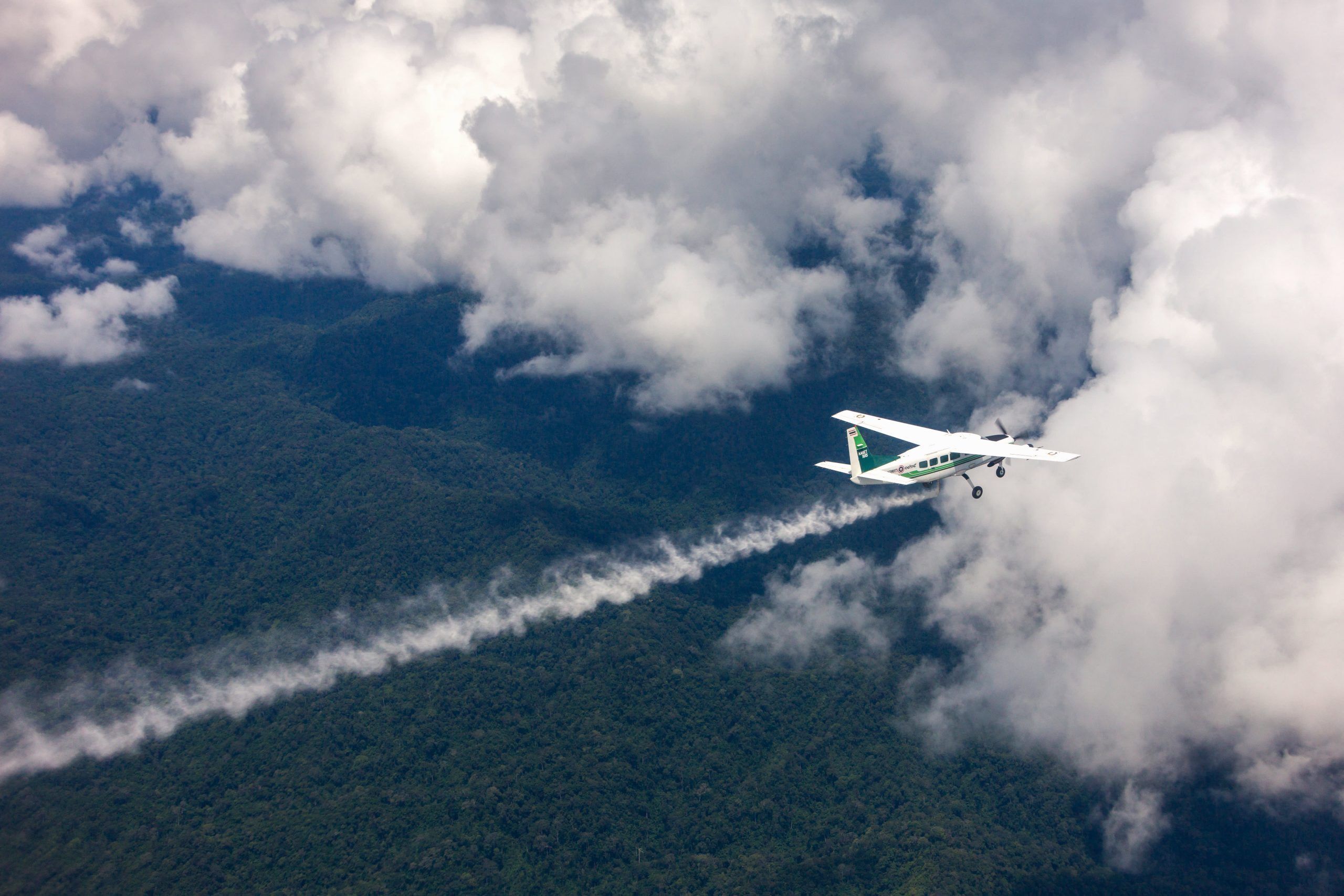 Bulut Tohumlama 8