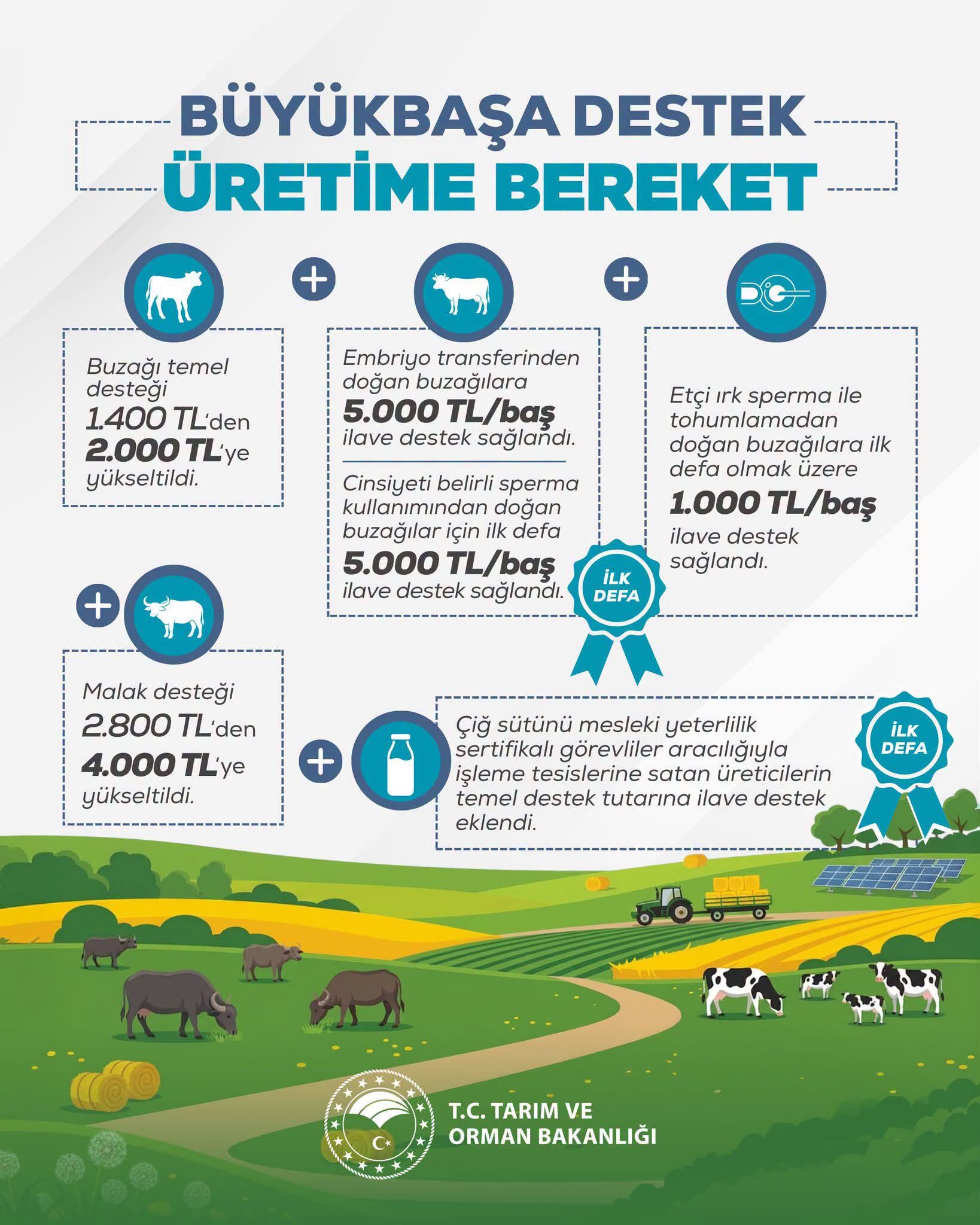 Büyükbaş Destek