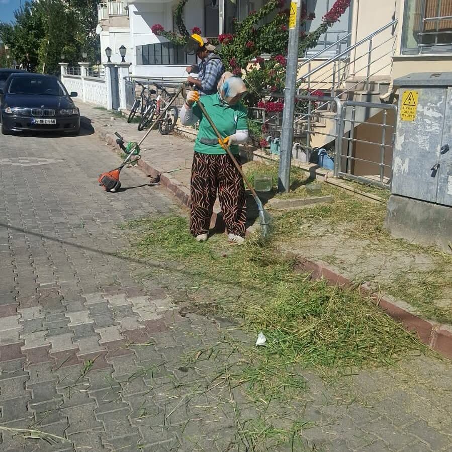 Edremit Yeşillik1