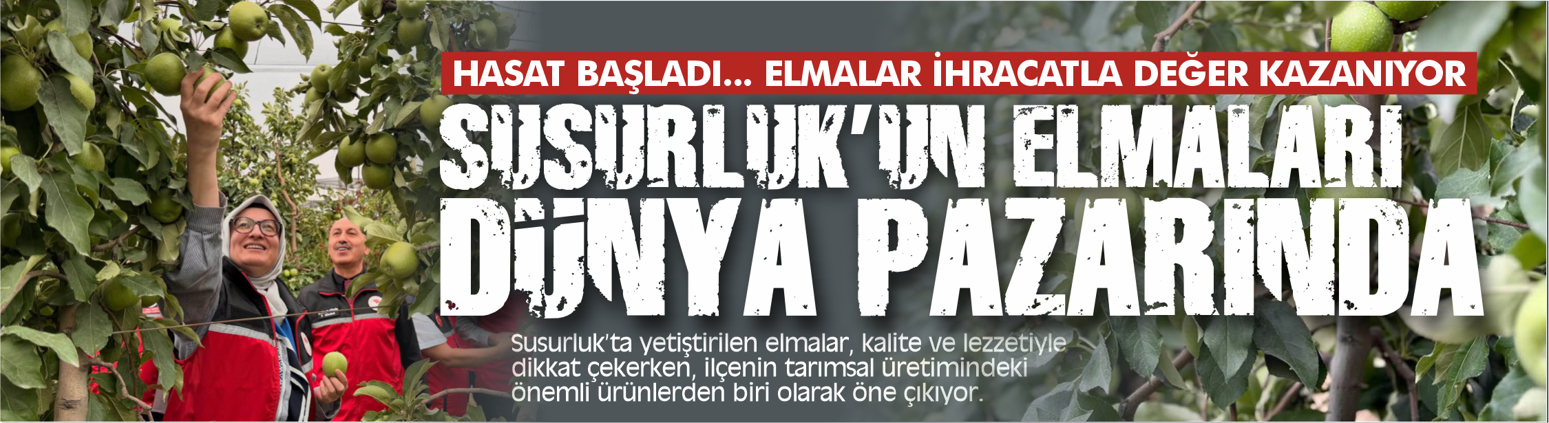 Susurluk’un elmaları dünya sofralarında