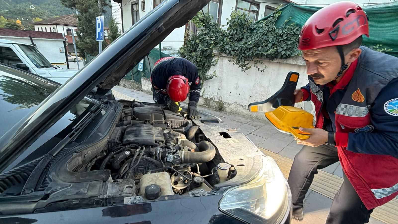 Sakarya’da Otomobilin Motoruna Sıkışan Yavru Kedi Kurtarıldı: İtfaiye Ekipleri Harekete Geçti, Annesine Kavuştu!
