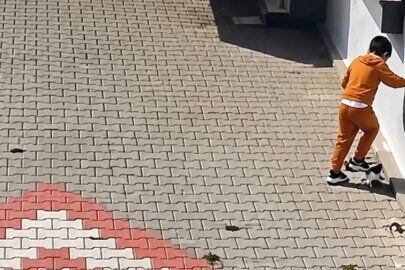 Balikesir De Kediye Iskence Iddiasi Tepki Topladi 1791406457 506 Small