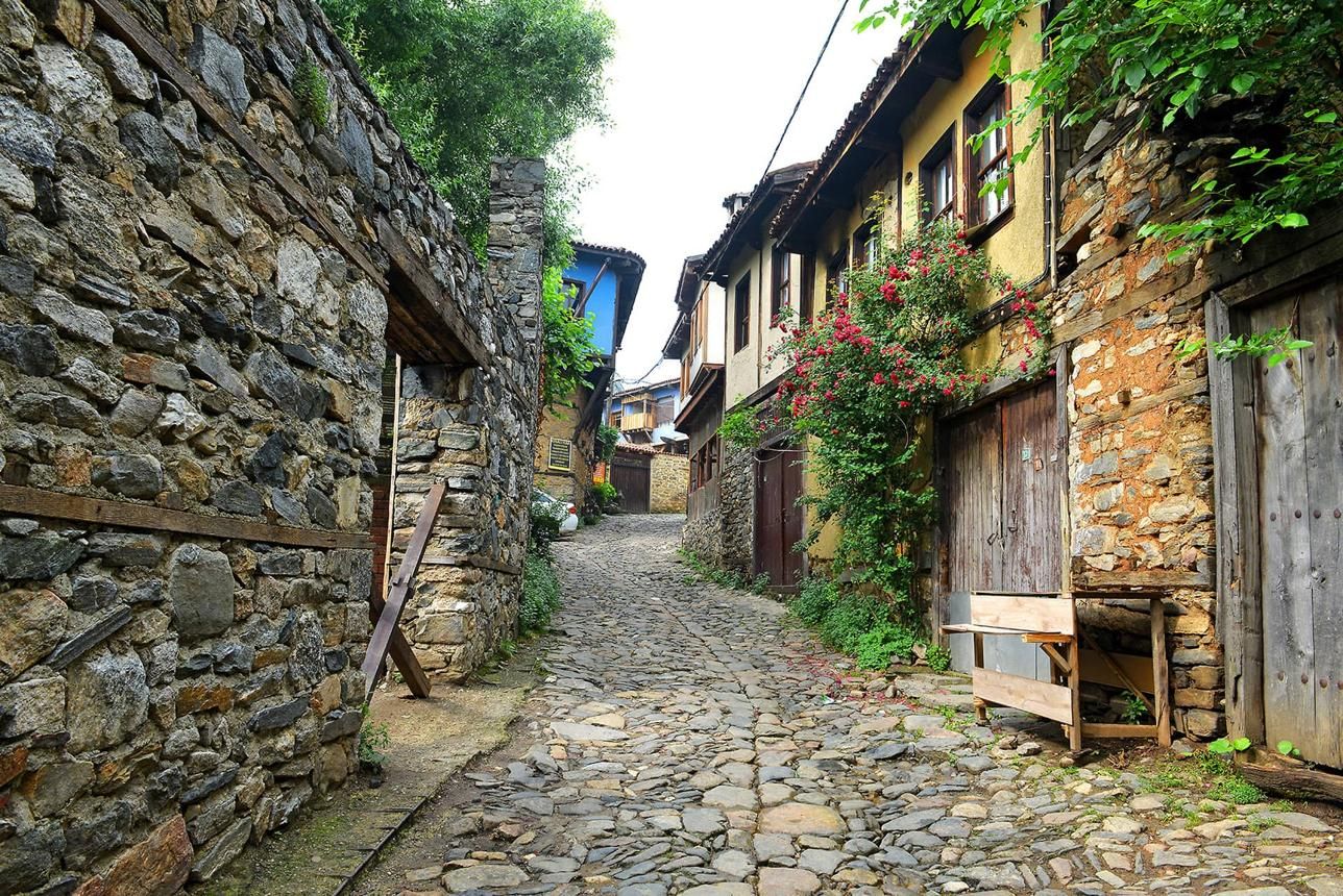 Bursa1