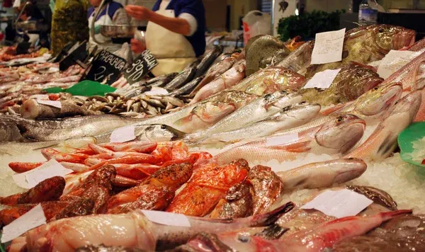 Depositphotos 333968702 Stock Photo Sea Food Fish Market