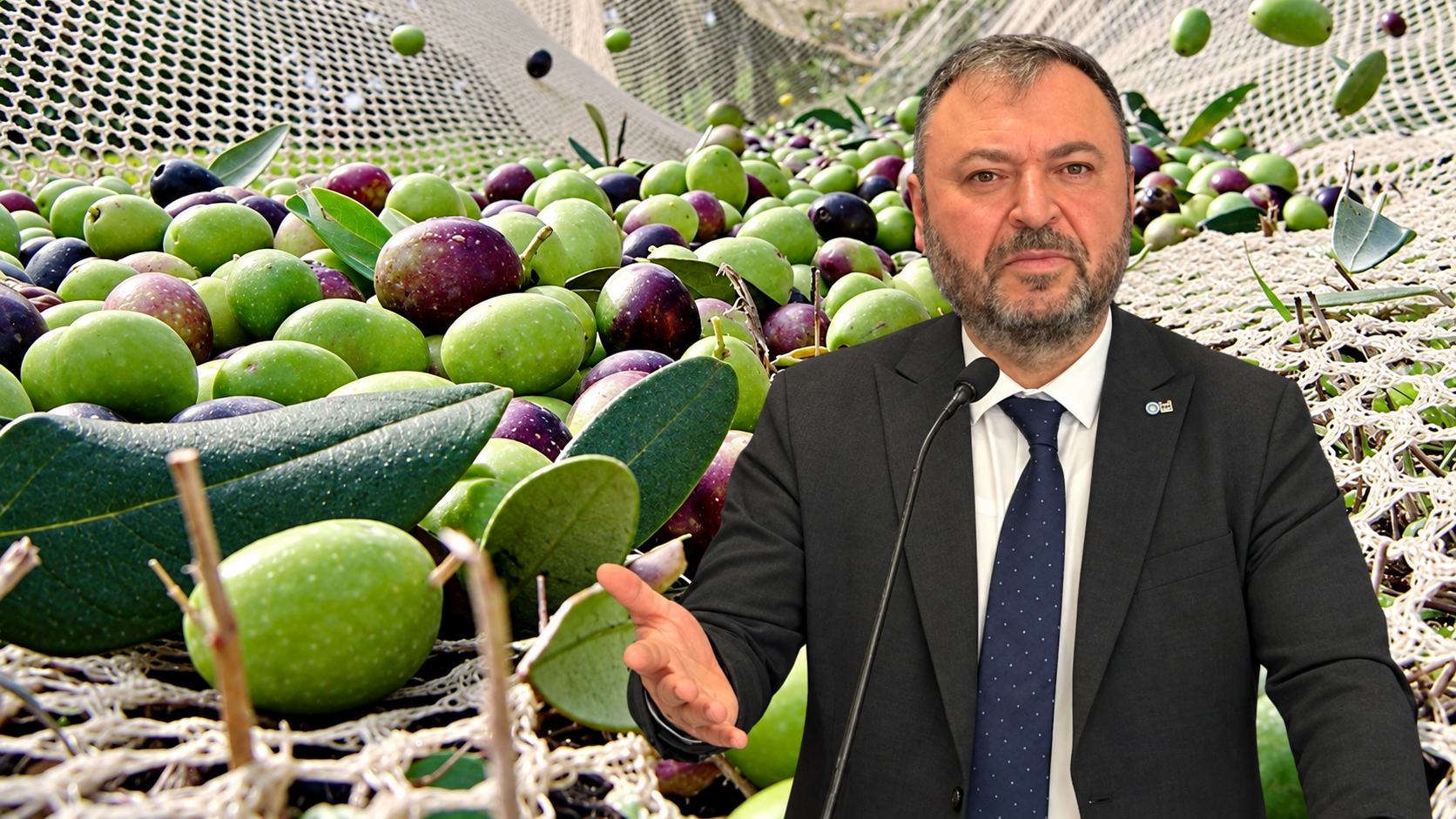 İYİ Partili Yörük'ten Zeytin Üreticisi İçin Çağrı: “Bereket Çiftçinin Cebine Yansımıyor”