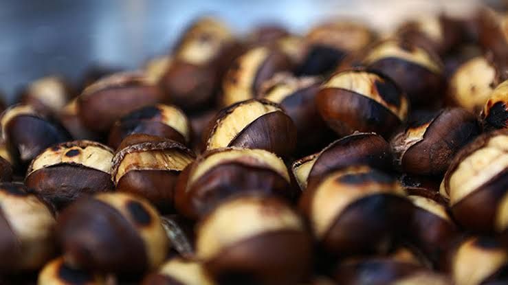 Dünyanın En İyi Kestaneleri Açıklandı: Aydın Kestanesi 3,9 Puanla İkinci Sıraya Yerleşerek Dikkat Çekti!
