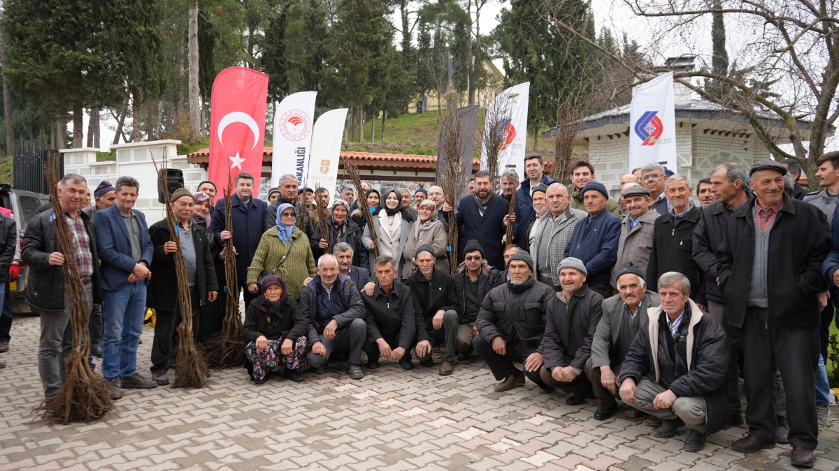 Sındırgı'da çiftçilere ceviz ve badem fidanı dağıtıldı
