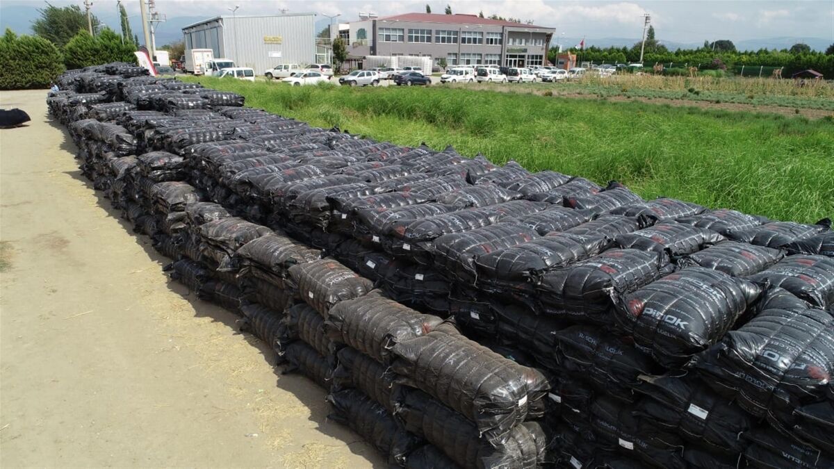 Büyükşehir'den zeytin ve incir üreticilerine büyük destek!