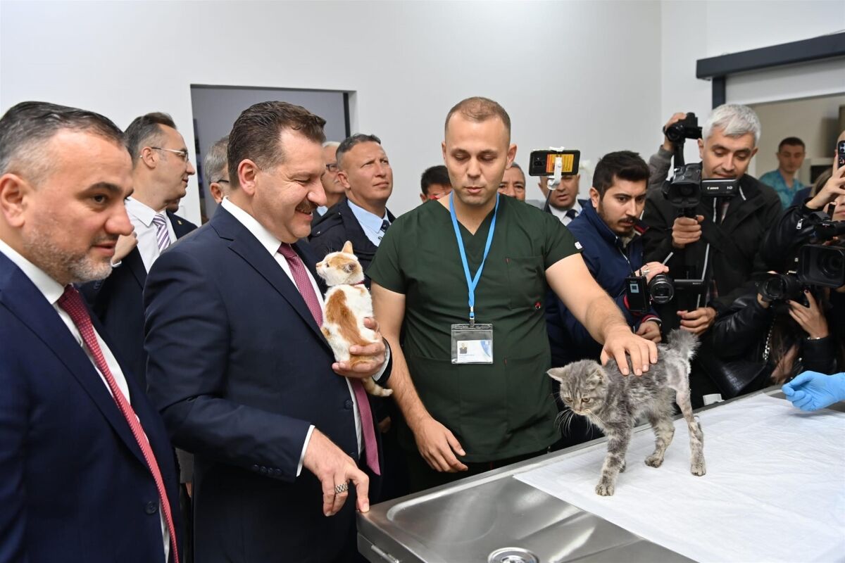 Balıkesir Büyükşehir Belediyesi, sokaktaki can dostlarına yönelik öncü hizmetleri ile dikkat çekiyor.