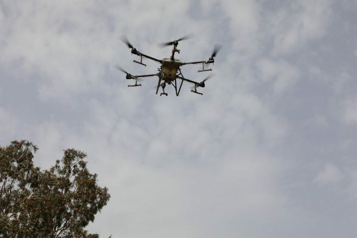 Edremit’te sinekle mücadele çalışmaları Drone ile destekleniyor
