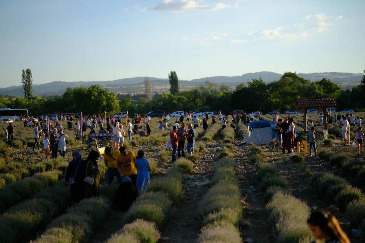 Altıeylül 