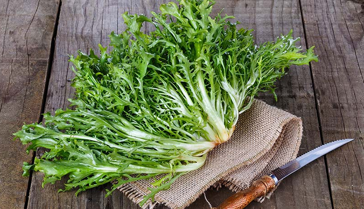 Dünyanın en sağlıklı sebzesi belli oldu! Tam bir vitamin deposu!