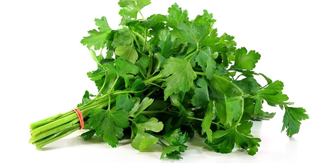 Dünyanın en sağlıklı sebzesi belli oldu! Tam bir vitamin deposu!