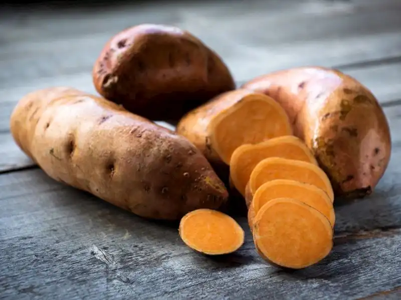 Dünyanın en sağlıklı sebzesi belli oldu! Tam bir vitamin deposu!