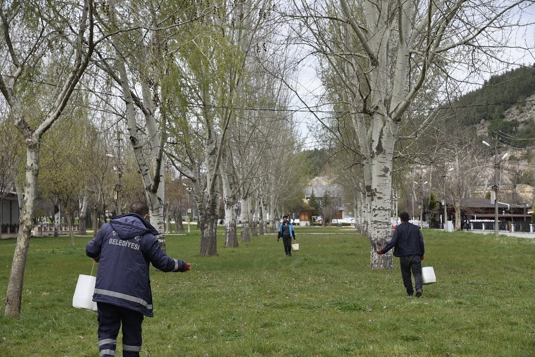 Çimlerden Ağaçlara Her Şey Yenileniyor! İşte Dursunbey’in Yaz Hazırlıkları!