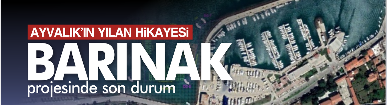 Ayvalık'ın Yılan Hikayesiydi! Barınak Projesinde Son Durum