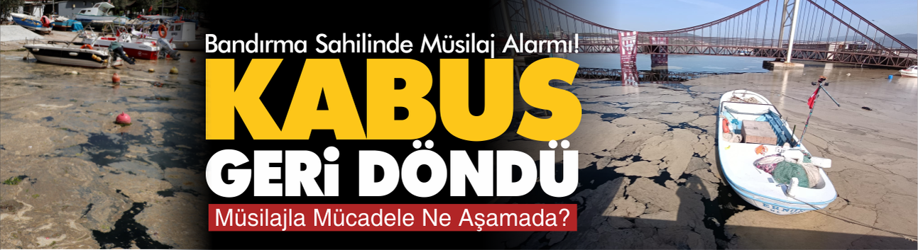 Müsilaj Kabusu Geri Döndü! Bandırma sahilinde salyalanma başladı