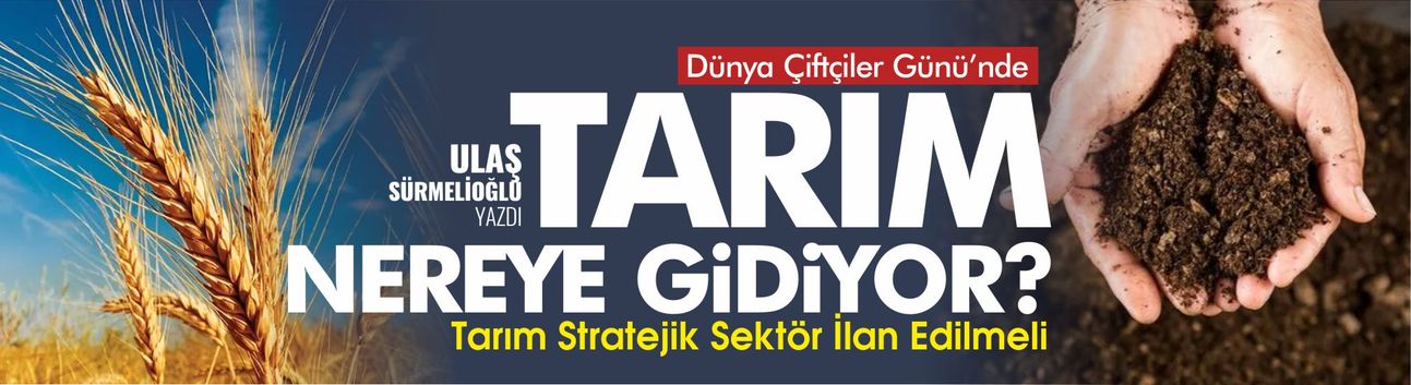 Türkiye'de Tarım Nereye Gidiyor?