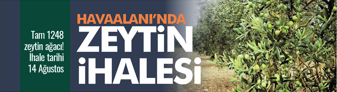 Balıkesir Koca Seyit Havalimanı’ndaki 1248 Zeytin Ağacı İhaleye Çıkıyor