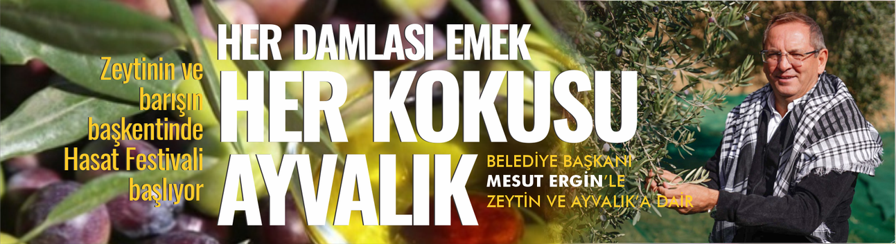 Zeytinin ve barışın başkentinde Hasat Festivali başlıyor