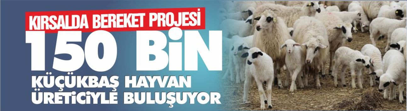 Kırsalda Bereket Projesi: 150 bin küçükbaş hayvan üreticiyle buluşuyor