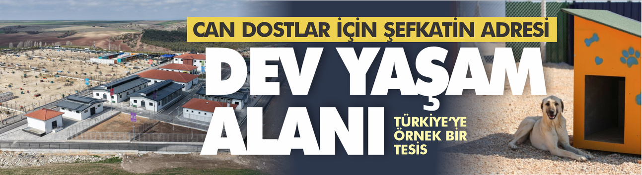 Can Dostlar İçin Şefkatin Adresi: Dev Yaşam Alanı Açıldı