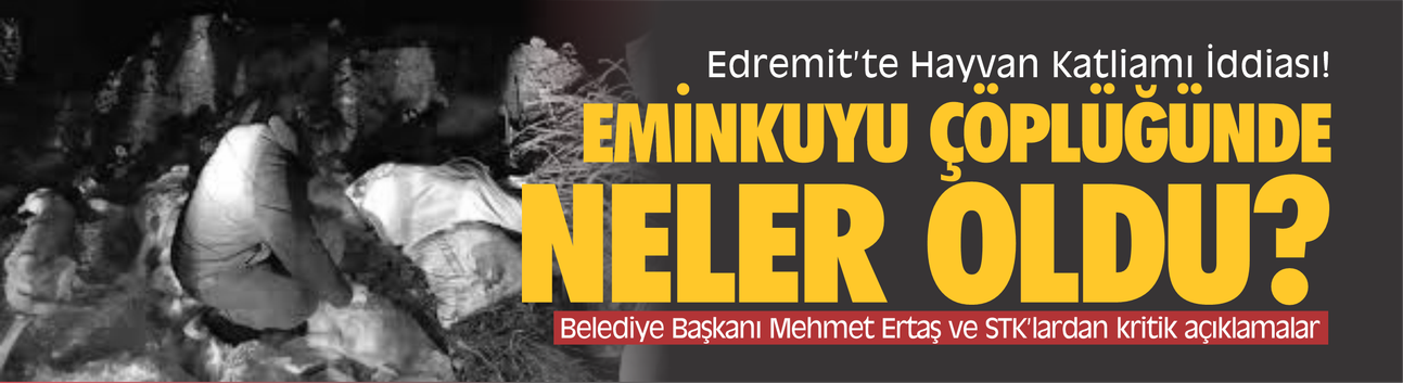 Edremit’te Hayvan Katliamı İddiası! Eminkuyu Çöplüğü'nde Neler Oldu? Belediye ve STK’lardan Kritik Açıklamalar