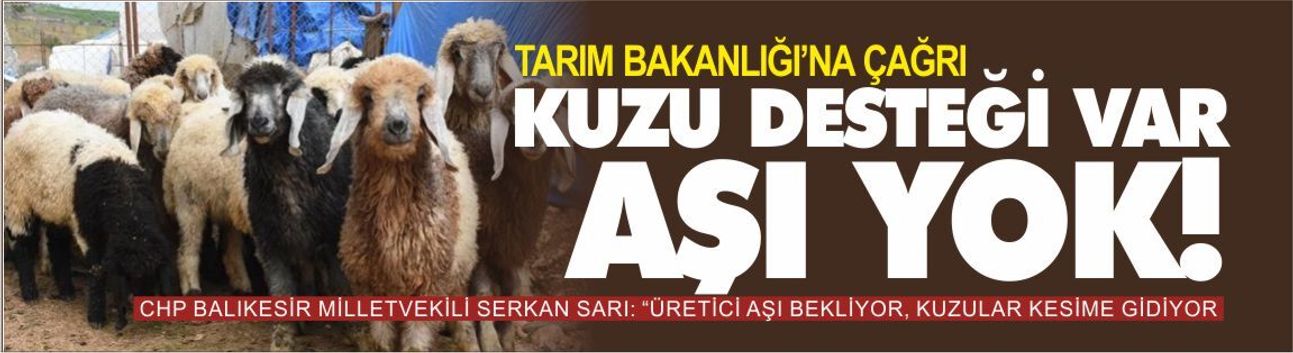 "Kuzu desteği var ama aşı yok!"