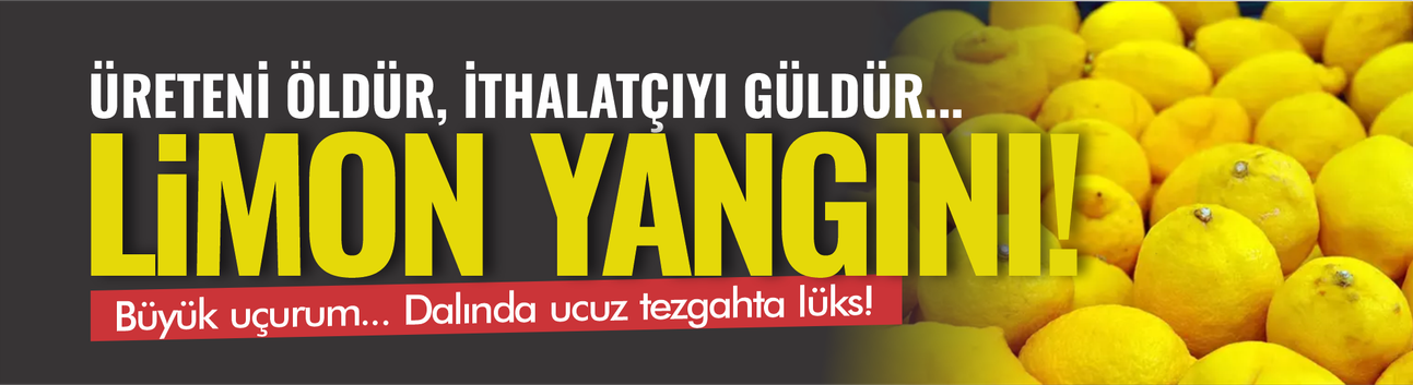Limon dalda ucuz, tezgahta lüks! Üreteni öldür, ithalatçıyı güldür...