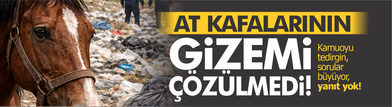 Çöplükteki at kafalarının gizemi çözülemedi!