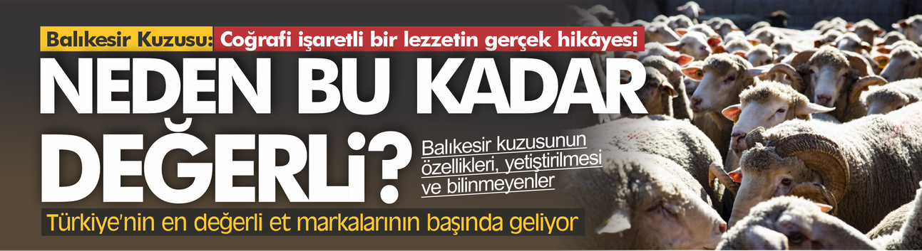 Balıkesir Kuzusu: Coğrafi İşaretli Bir Lezzetin Gerçek Hikâyesi