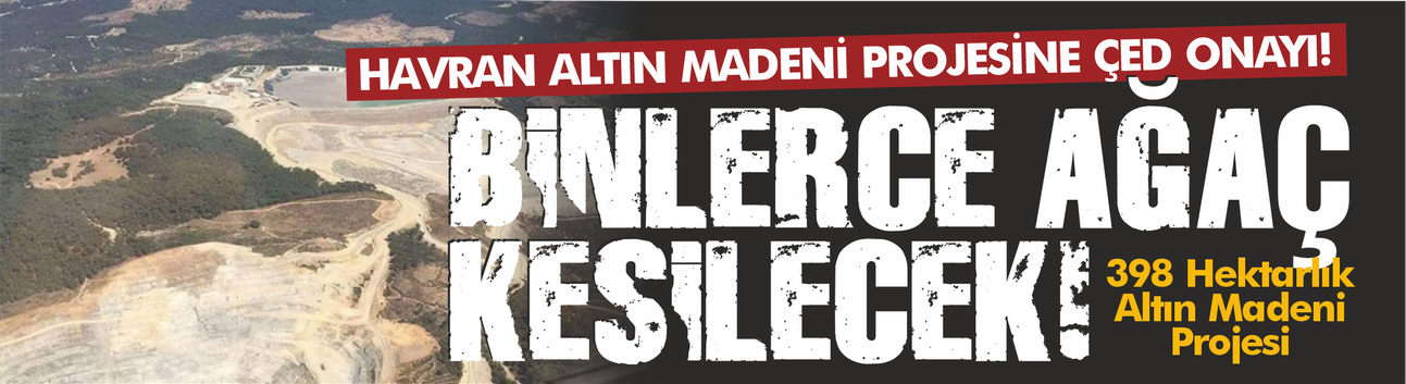 Havran'daki Altın Madeni Projesine ÇED Onayı: 10 Bin 711 Ağaç Kesilecek