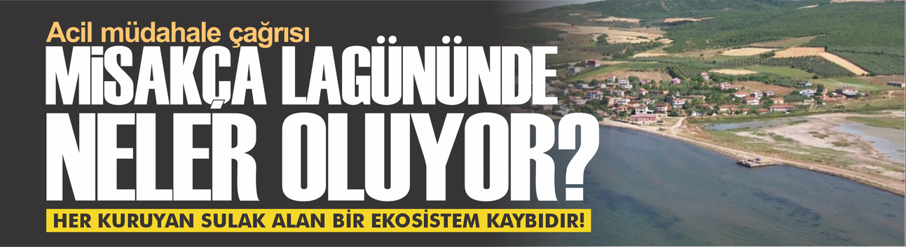 Misakça Lagünü Uyarısı: “Her Kuruyan Sulak Alan Bir Ekosistem Kaybıdır”