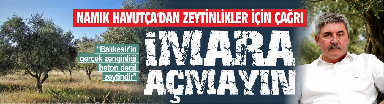 NAMIK HAVUTÇA'DAN ZEYTİNLİKLER İÇİN ÇAĞRI: "İMARA AÇMAYIN"